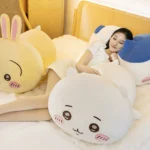 上一个商品图像